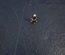 NEW 8CH PREAMP PROTECTION BOX PIN